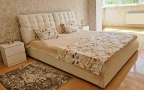 Spacious 2-Room Flat with Free Parking